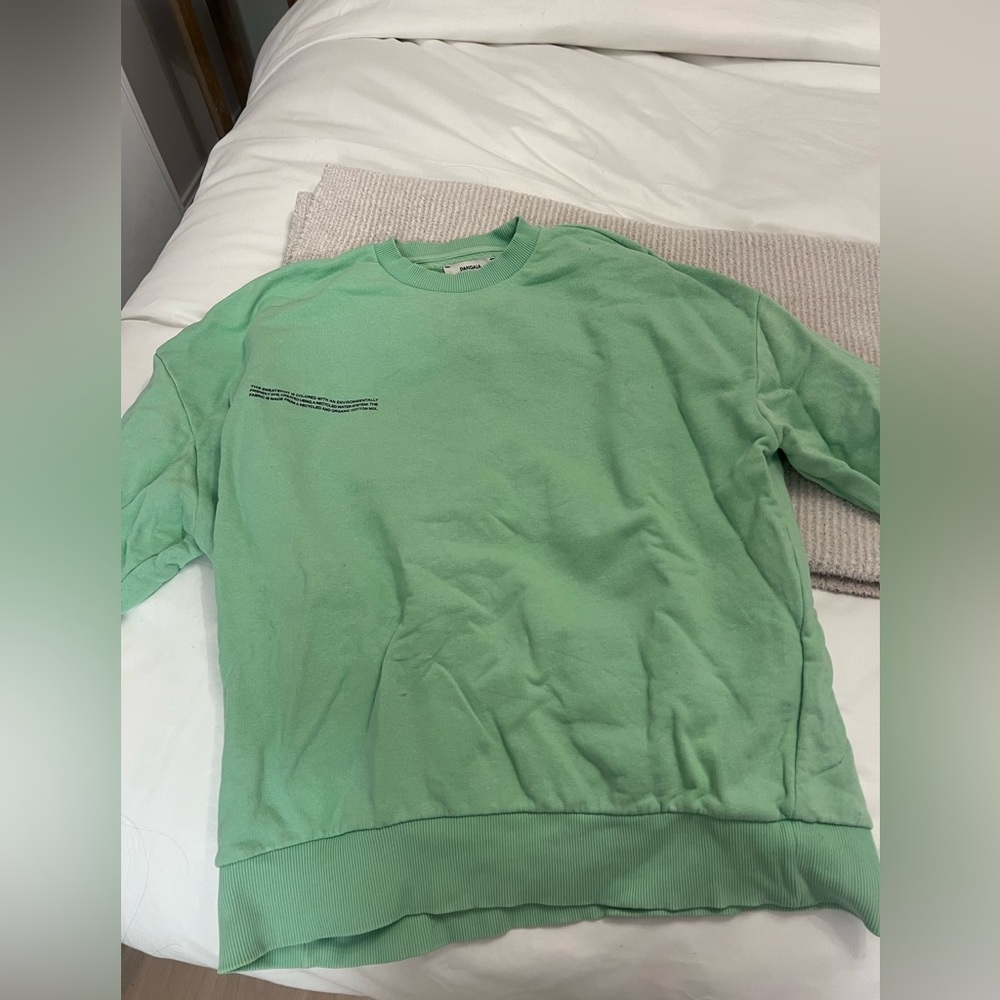 Pangaia sweatshirt in mint green